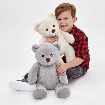 Teddy Bear Toy